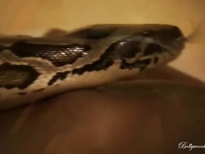 A snake to cuddle